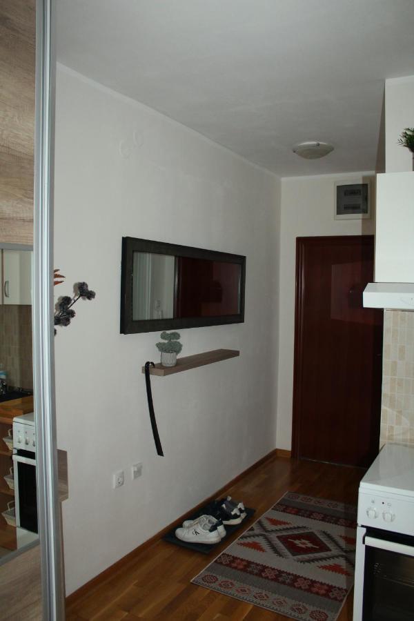 Downtown Apartment Novi Sad Dış mekan fotoğraf